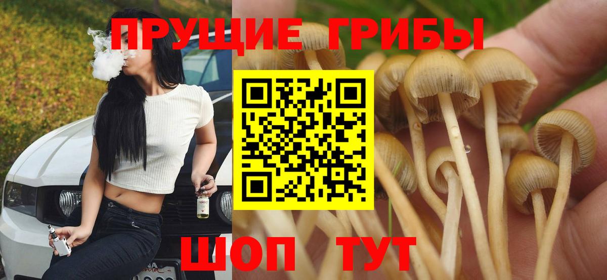 Трёхгорный  Галлюциногенные грибы Cubensis  Вход с VPN 